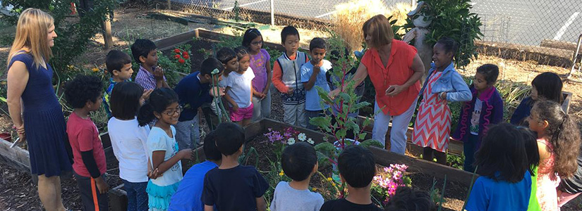 Faria Elementary School — Introduction