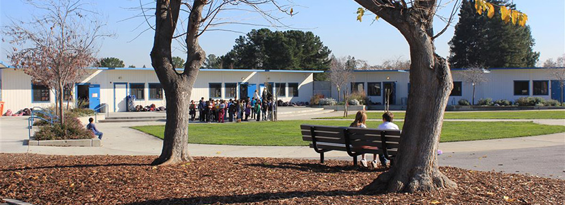 Collins Elementary School — Introduction