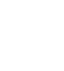 Vision