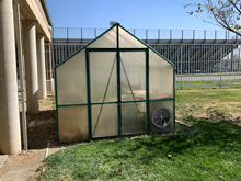 Greenhouse